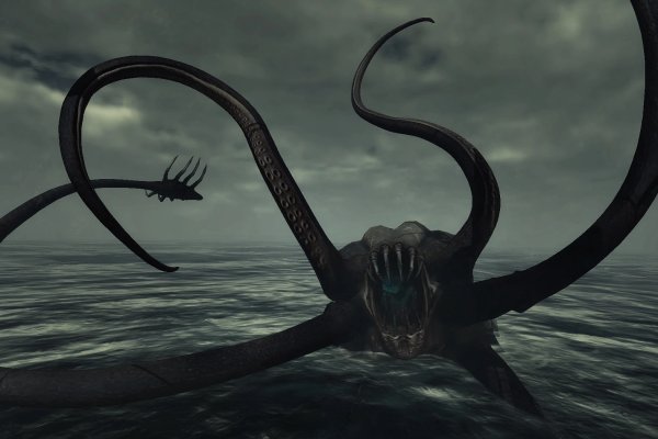 Kraken darknet to run