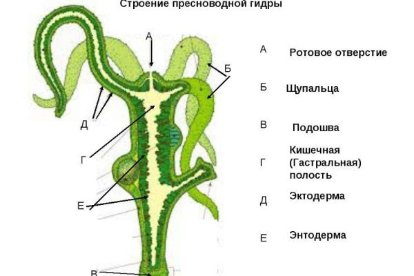 Кракен даркнет отменился заказ